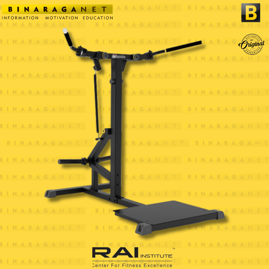 IFP 1206 STANDING CHEST FLY IMPULSE